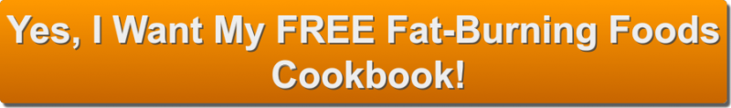 FatBurningCookbook-Orange 2